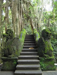 the stairs are covered in moss and trees