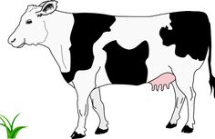 a black and white cow standing next to a green plant with pink spots on it