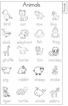 an animal worksheet for kids