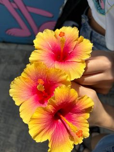 two bright yellow and red flowers in someone's hand