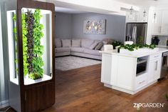 ZipGarden  Hydroponics has truly never looked so good! Our ZipGarden is our first all-in-one solution that does everything from seed to harvest. Our built-in germination station allows you to do everything right in your ZipGarden while the irrigation is neatly tucked away in the bottom cabinet, leaving you with a stunning unit.  The ZipGarden became increasingly popular because of its size. Its sleek design easily fits into any classroom, and shorter towers allow students from K-12 to get hands-on learning. Regardless of skill level, the ZipGarden makes it easy for even junior farmers to learn the fundamentals of plant science while creating a beautiful addition to your classroom!  Included: ZipGarden™ Shell 3 -4' ZipGrow™ Towers with Matrix Media and Wicking Strips Mini Nursery Seedling S Germination Station, Mini Nursery, Hydroponic Growing, Plant Science, Garden Greenhouse, Hands On Learning, Led Grow Lights, Greenhouses, Grow Lights