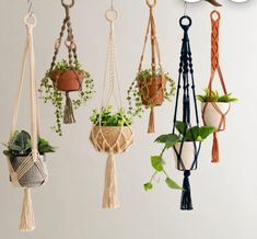 several hanging planters with plants in them