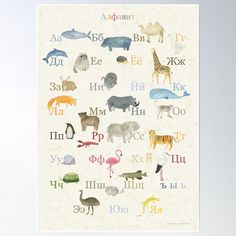 an animal alphabet poster with different animals and letters on the front, in various colors