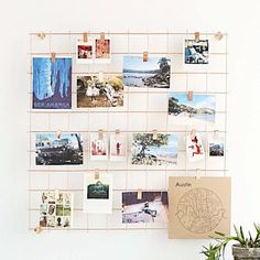 a white wall with pictures hanging on it and a potted plant next to it