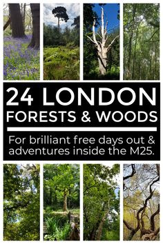 london forests and woods for brilliant free days out & adventures inside the m2s