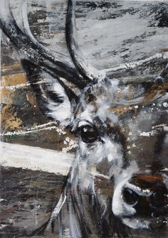 a painting of a deer with antlers on it's face and neck, in grey tones