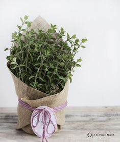 a plant in a burlap bag on a wooden table