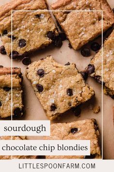 chocolate chip blondies cut into squares with text overlay