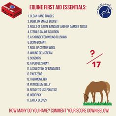 an info sheet describing how to use the equine first aid essentials for horses