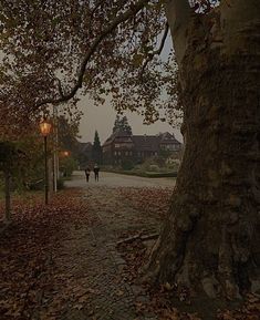 two people walking down a path in the fall