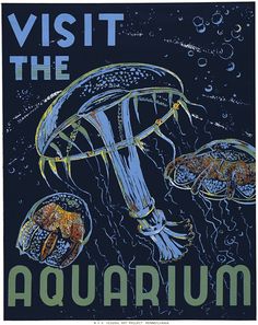 an advertisement for the aquariusum aquarium, with jellyfish and other marine creatures