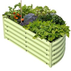 a garden box filled with lots of different types of vegetables and plants in it's sides