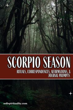 the cover of scorpion season rituals, correspondences, affirmions and journal propets