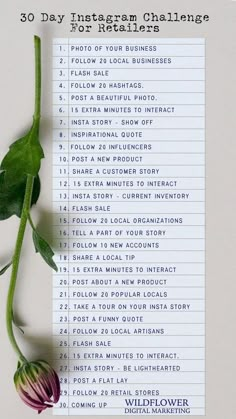 the 30 day instagram challenge for small business owners is shown with a flower on it