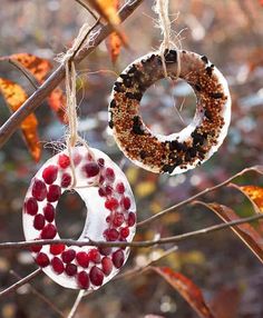 two ornaments hanging from a tree branch with leaves and branches in the background, one is made to look like an oatmeal ornament