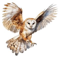 an owl flying through the air with its wings spread