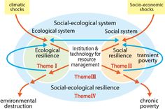 the social system is depicted in this diagram, with several different areas labeled on it