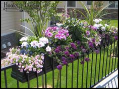 some flowers are growing on the side of a black iron fence in front of a house