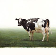 a black and white cow standing on top of a lush green field