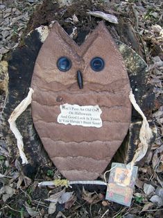 an owl shaped rock with two eyes on it's face and some leaves around it