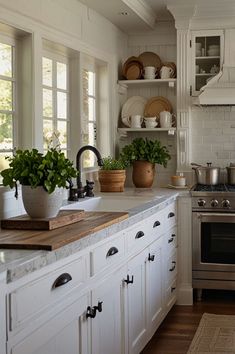 a kitchen with white cabinets and lots of pots on the stove top, along with plants