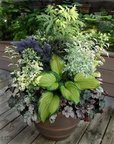 a potted plant sitting on top of a wooden deck