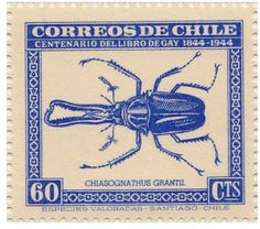 a stamp with a blue beetle on it's back and the words correos de chile written in spanish