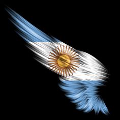 the flag of argentina flying in the air with its wings spread out to show it's colors