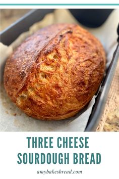 three cheese sourdough bread in a baking pan with the words, three cheese sourdough bread