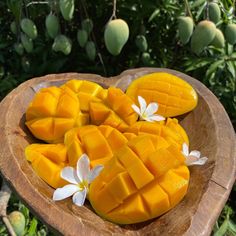 mangos cut in half on a wooden plate with white flowers and leaves around them