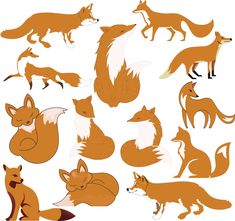 a collection of foxes and other animals in various poses, all facing different directions to the left