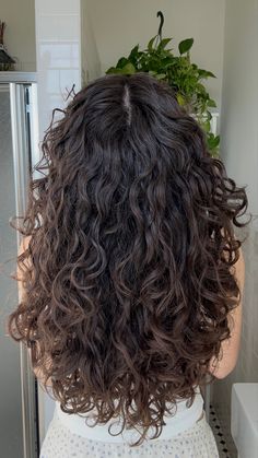 Layers With Wavy Curly Hair, Curly Haircuts Long Layers, Wavy Hair Haircut Layers, Long Layers With Curly Hair, V Shaped Haircut With Layers Curly Hair, 2c Hair Cuts With Layers, 2c Hair Layers, 2b Hair Layers, Brown 2c Hair