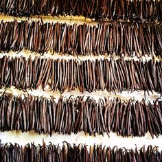 several rows of chocolate beans are arranged on a white surface