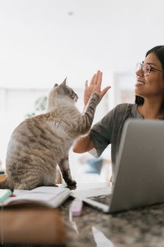 a woman sitting at a table with a cat on her lap, and a laptop in front of her