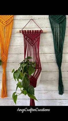 three different colored macrame hangings on a wall next to a potted plant