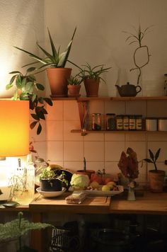 the kitchen counter is cluttered with plants and food