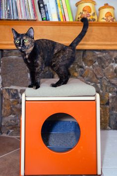 This holiday season, add our Poop Nest hidden cat litter box ideas to your Christmas wish list! These stylish enclosures make excellent Christmas presents for cat lovers who want to maintain a clean home without sacrificing aesthetics. From hidden litter boxes in cabinets to creative outdoor solutions, our products blend seamlessly into any space. Make your holiday shopping easier by exploring our innovative solutions that every cat parent will love. Visit myshichic.com for more gift ideas! Litter Box Solutions, Christmas Presents For Cats, Gift Ideas For Cat Lovers