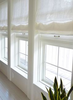 there is a potted plant in front of three windows with white drapes on them