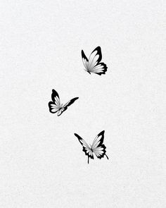 three black and white butterflies flying in the sky