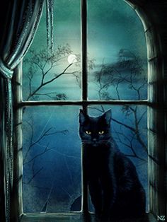 a black cat sitting on top of a window sill in front of a night sky