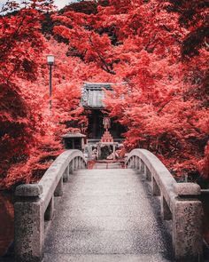 a bridge with red trees surrounding it and a lantern in the middle on one side