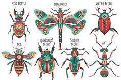 the different types of bugs and insects