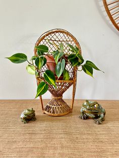 a frog sitting on top of a wooden table next to a potted plant in a basket