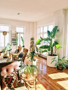 a living room filled with furniture and lots of plants on top of wooden flooring