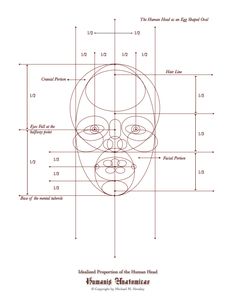 the diagram shows how to draw a human face with different lines and shapes on it