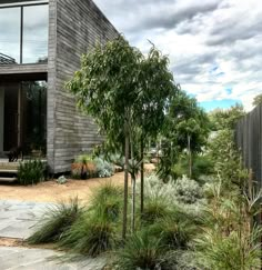 Modern Australian Garden, Landscaping Garden Ideas, Narrow Garden, Contemporary Garden Design, Landscaping Garden