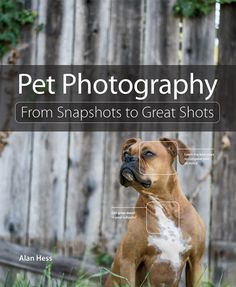 the cover of pet photography from snaps to great shots