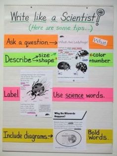 a bulletin board with different types of bugs on it and words written in bold colors