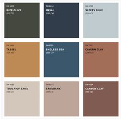 the color palettes for an interior paint scheme