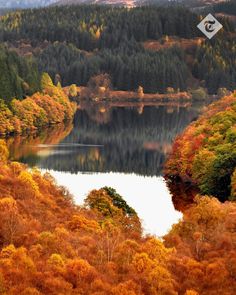 a lake surrounded by lots of trees in the middle of a forest filled with orange and yellow leaves